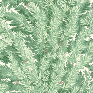 Florencecourt Verillion by Cole & Son Designer Wallcovering