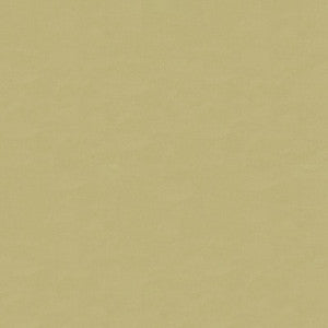 Kravet Design 4070-106 by Kravet Design Designer Fabric