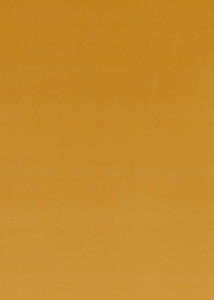 Montpellier Velvet Sienna by Baker Lifestyle Designer Fabric