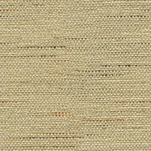Kravet Basics 33135-106 by Kravet Basics Designer Fabric