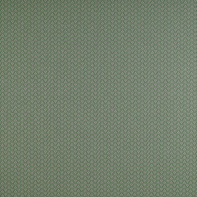 Chueca Verde by Gaston Y Daniela Designer Fabric