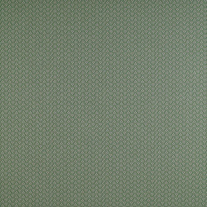 Chueca Verde by Gaston Y Daniela Designer Fabric