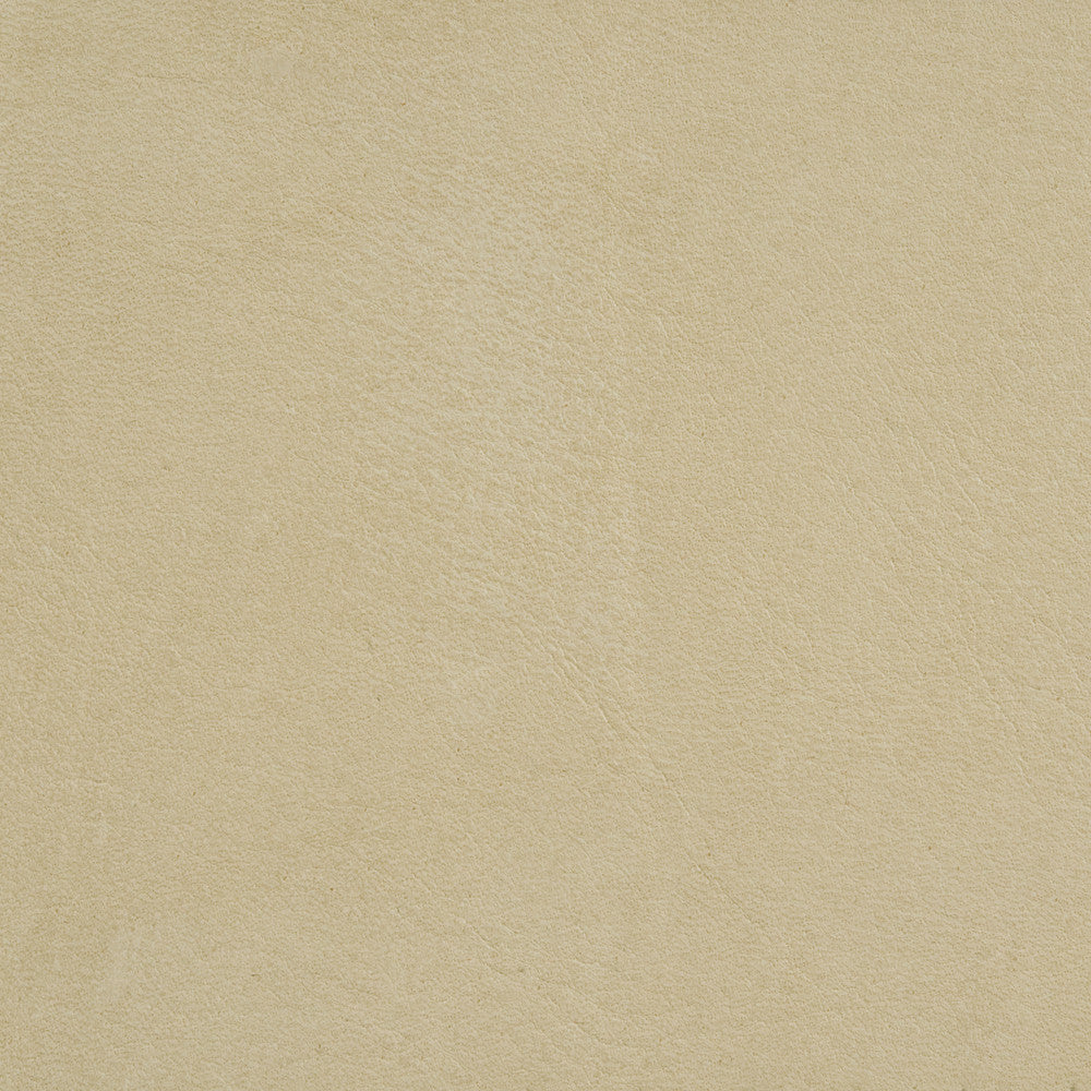 L-Arizona Putty by Kravet Design Designer Fabric