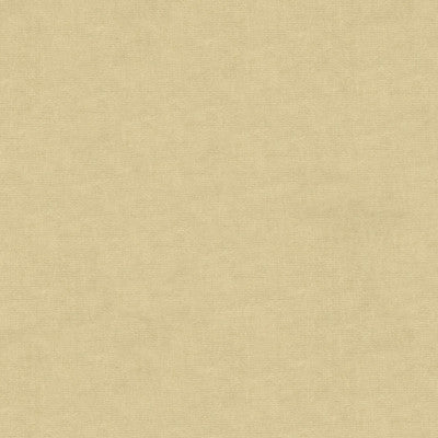Kravet Design 33125-1111 by Kravet Design Designer Fabric