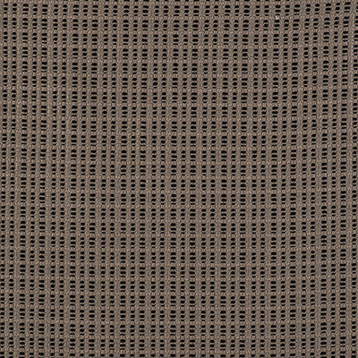 Out Lino/Negro by Gaston Y Daniela Designer Fabric