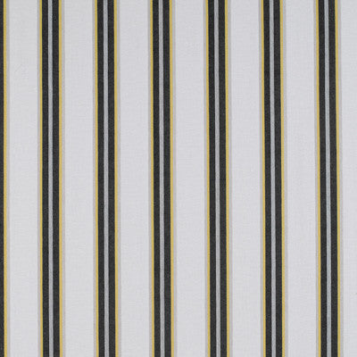 Tavolara Onyx/Amarillo by Gaston Y Daniela Designer Fabric