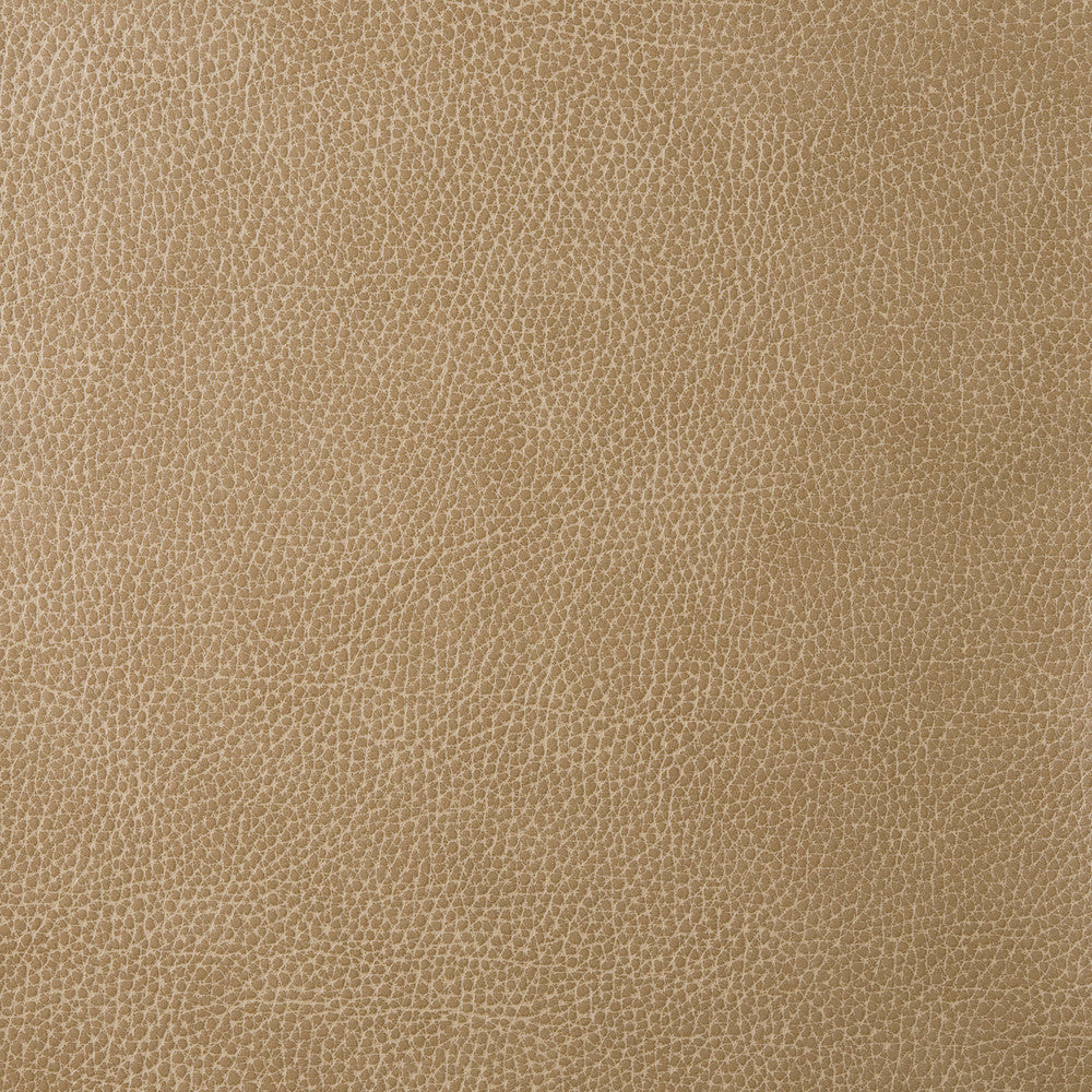 Kravet Design Loris-30 by Kravet Design Designer Fabric