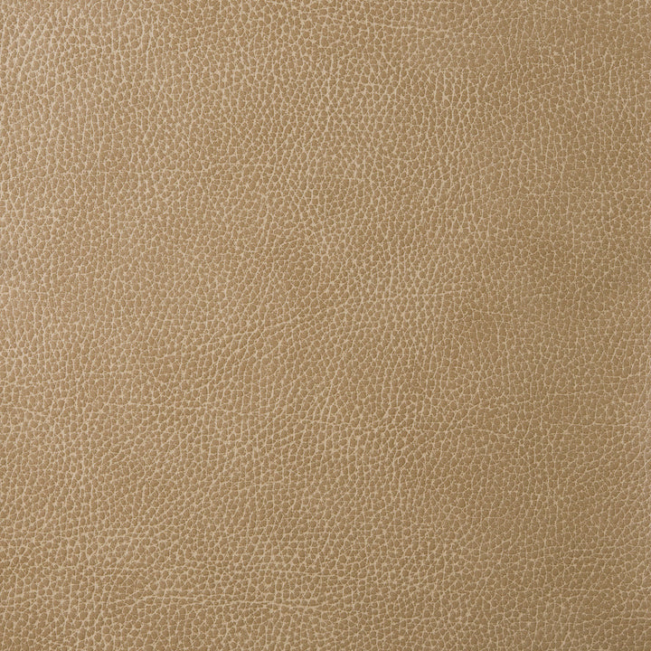 Kravet Design Loris-30 by Kravet Design Designer Fabric