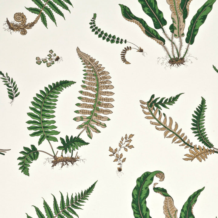 Ferns Original Green by G P & J Baker Designer Wallcovering