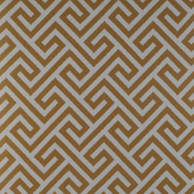 Trevi Ocre by Gaston Y Daniela Designer Fabric