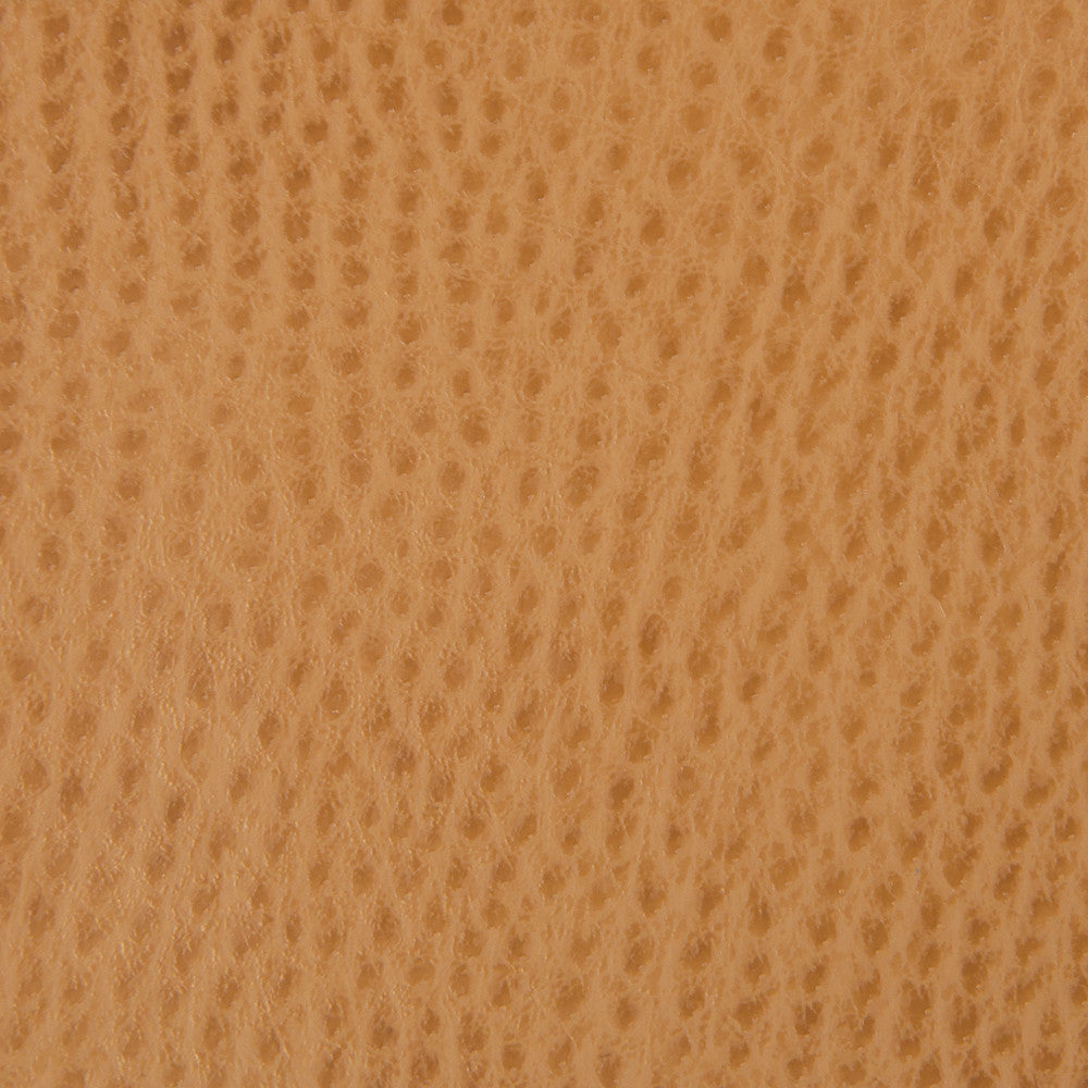 Kravet Smart Ossy-4 by Kravet Smart Designer Fabric