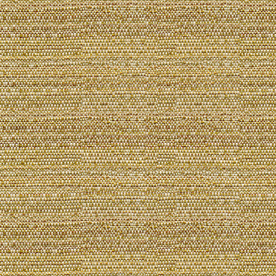 Kravet Couture 31695-416 by Kravet Couture Designer Fabric