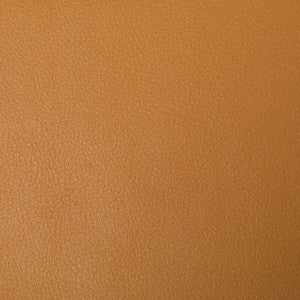 Kravet Smart Newt-4 by Kravet Smart Designer Fabric