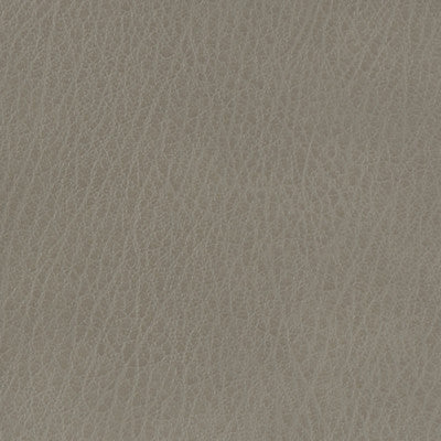 Kravet Basics Celine-11 by Kravet Basics Designer Fabric