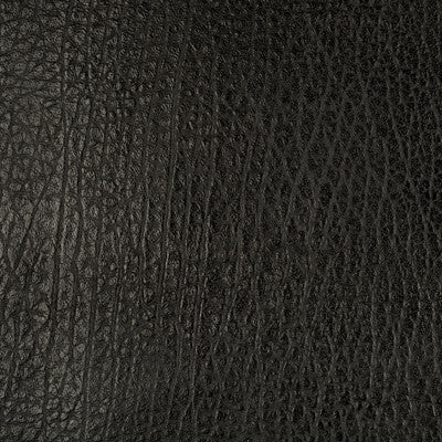 Femme Fatale Black by Groundworks Designer Fabric