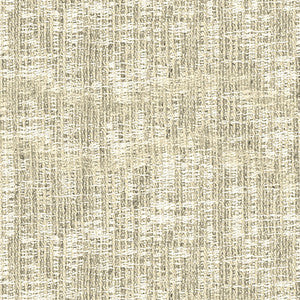 Kravet Couture 34831-16 by Kravet Couture Designer Fabric