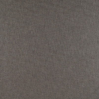 Chamberi Vison by Gaston Y Daniela Designer Fabric