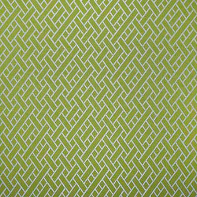 Nairobi Verde by Gaston Y Daniela Designer Fabric