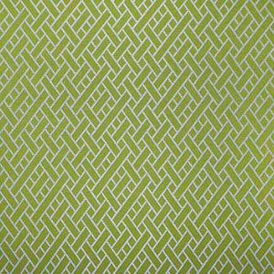 Nairobi Verde by Gaston Y Daniela Designer Fabric