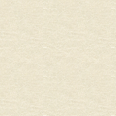 Kravet Contract 4142-101 by Kravet Contract Designer Fabric