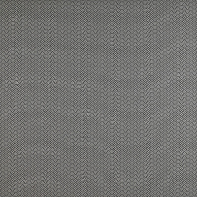 Chueca Humo by Gaston Y Daniela Designer Fabric
