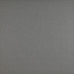 Chueca Humo by Gaston Y Daniela Designer Fabric