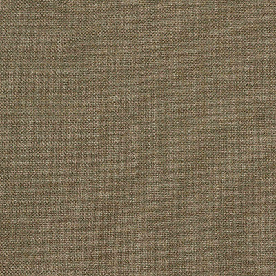 Shaba Verde by Gaston Y Daniela Designer Fabric