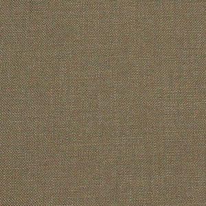 Shaba Verde by Gaston Y Daniela Designer Fabric