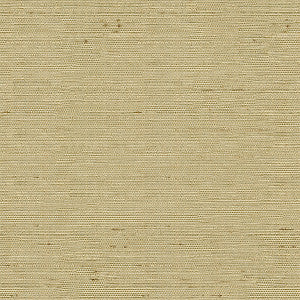 Kravet Basics 3807-1616 by Kravet Basics Designer Fabric