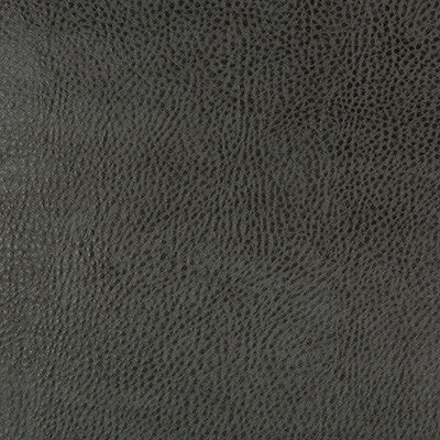 Kravet Design Beholder-21 by Kravet Design Designer Fabric