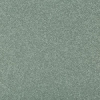 Syrus Herbal by Kravet Contract Designer Fabric