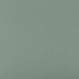 Syrus Herbal by Kravet Contract Designer Fabric