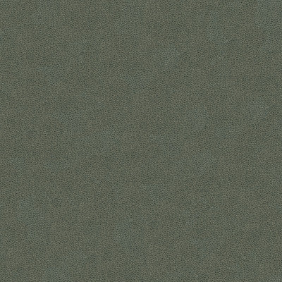 Kravet Design Volo-11 by Kravet Design Designer Fabric