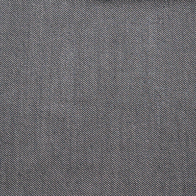 Victoria Acero/Blanco by Gaston Y Daniela Designer Fabric