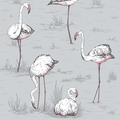 Flamingos Grey by Cole & Son Designer Wallcovering