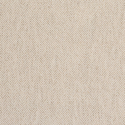 Enea Crudo by Gaston Y Daniela Designer Fabric