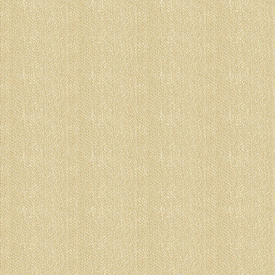 Kravet Smart 33832-1116 by Kravet Smart Designer Fabric