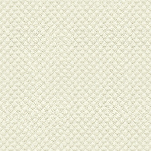 Kravet Design 25807-1 by Kravet Design Designer Fabric