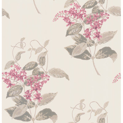 Madras Violet Pink by Cole & Son Designer Wallcovering