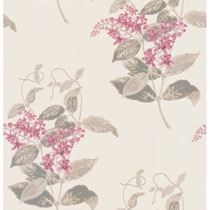 Madras Violet Pink by Cole & Son Designer Wallcovering