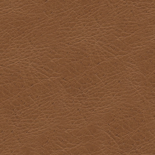 L-Timeless-Desert by Kravet Design Designer Fabric