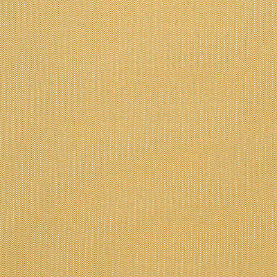 Donald Amarillo by Gaston Y Daniela Designer Fabric