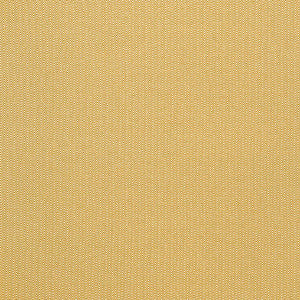 Donald Amarillo by Gaston Y Daniela Designer Fabric