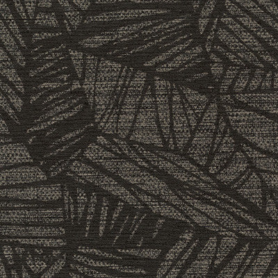 Phoenix Ebony by Winfield Thybony Designer Wallcovering