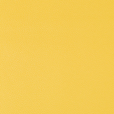 Syrus Sunshine by Kravet Contract Designer Fabric