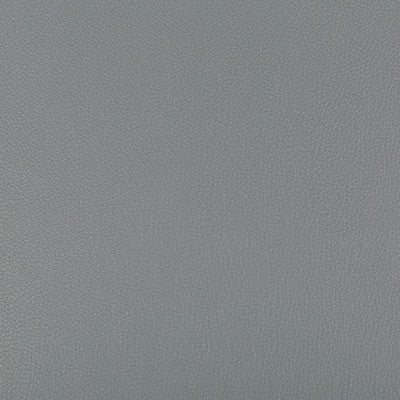 Syrus Pewter by Kravet Contract Designer Fabric