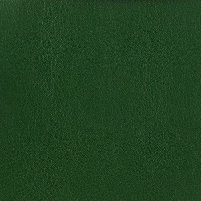 Kravet Basics Otto-3 by Kravet Basics Designer Fabric