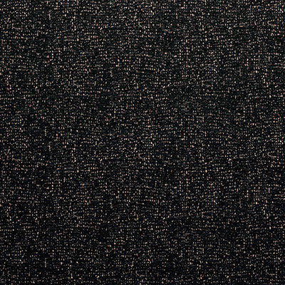 Lualaba Black by Gaston Y Daniela Designer Fabric