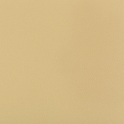 Syrus Sesame by Kravet Contract Designer Fabric
