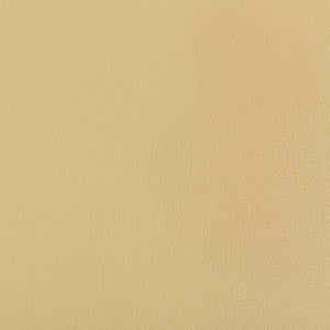 Syrus Sesame by Kravet Contract Designer Fabric